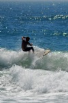 Windsurfing, Waves, Guy