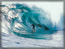 Windsurfing, Waves, Guy