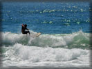 Windsurfing, Waves, Guy