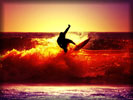 Windsurfing, Waves, Guy, Sunset